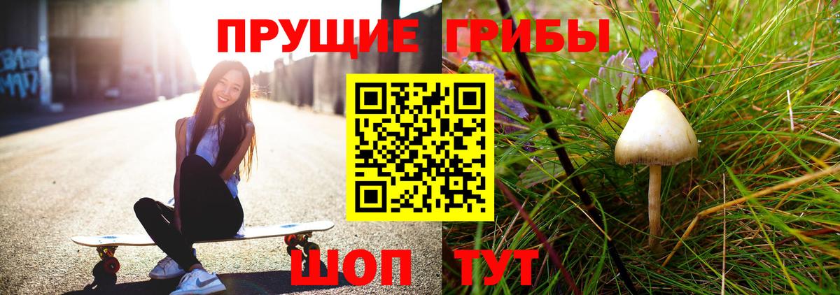 Псилоцибиновые грибы Psilocybe  Псилоцибиновые грибы мицелий  Вход с VPN  Янаул 
